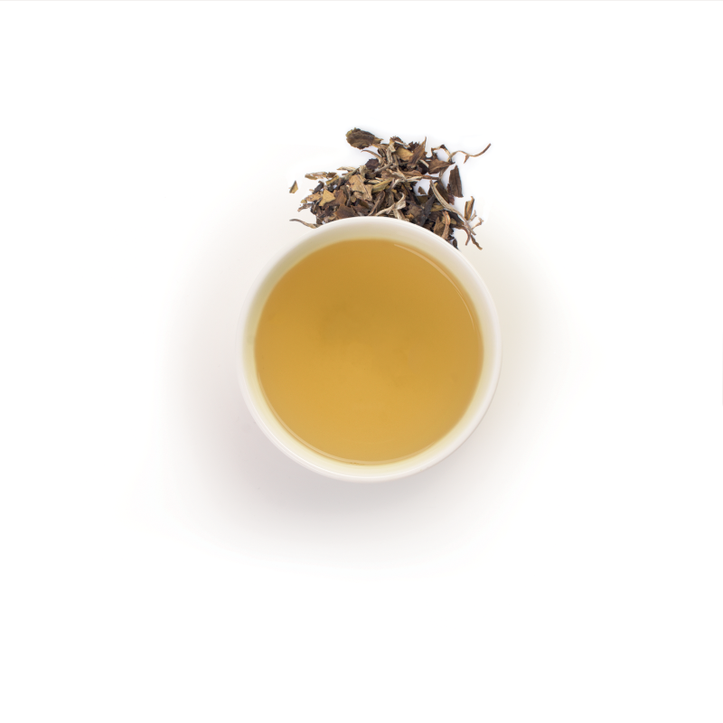 Thé blanc bio de Chine
