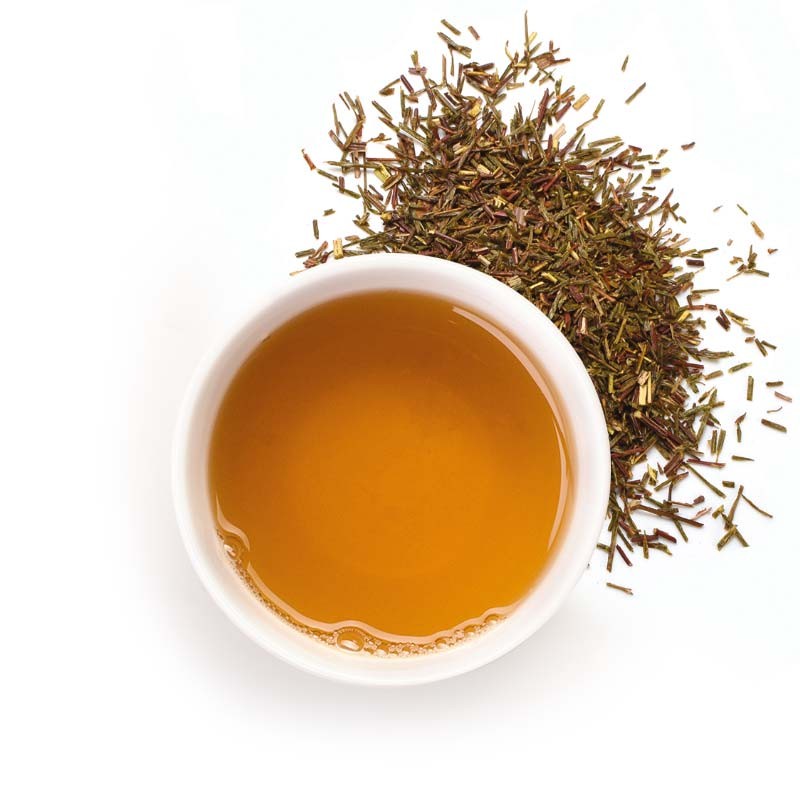 Rooibos bio