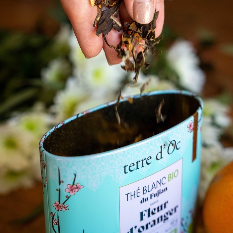 Orange Blossom