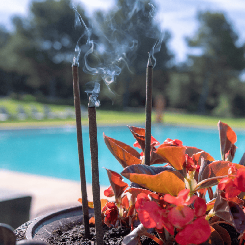 8 garden Incense sticks