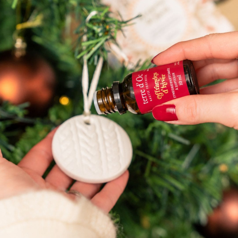 Christmas Surprise –...