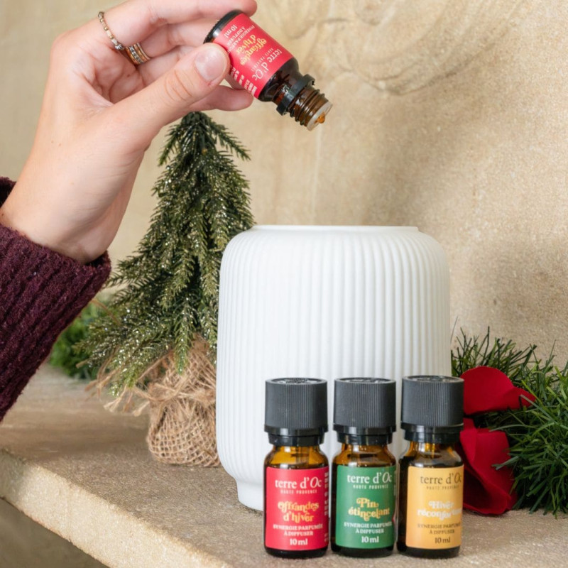 3 synergies parfumées de Noël