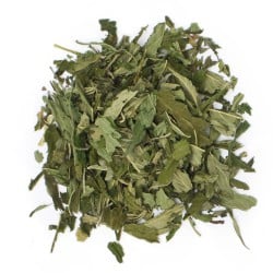 infusion chanvre menthe bio sans théine
