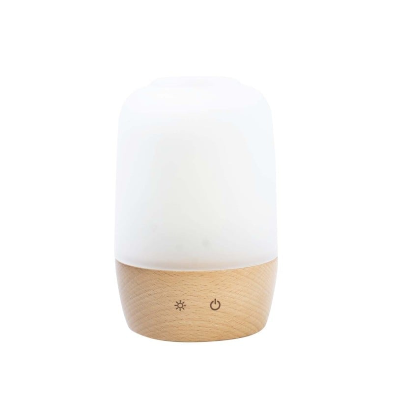 Essential oils diffuser