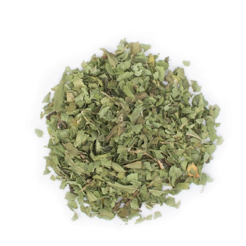 Verbena