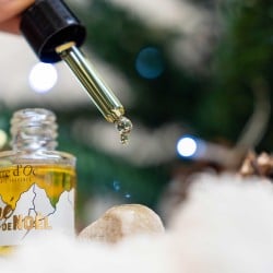 Flacon concentré parfum Noël brûle-parfum Terre d'Oc