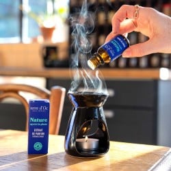 Utilisation concentré parfum Nature après la pluie dans brûle-parfum