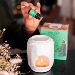 Contenu coffret Roi des forêts brûle-parfum céramique concentré 5ml