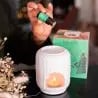 Contenu coffret Roi des forêts brûle-parfum céramique concentré 5ml