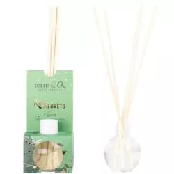 Mini capilla diffuseur parfum Roi des forêts senteur sapin Terre d'Oc 30ml