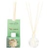 Mini capilla diffuseur parfum Roi des forêts senteur sapin Terre d'Oc 30ml
