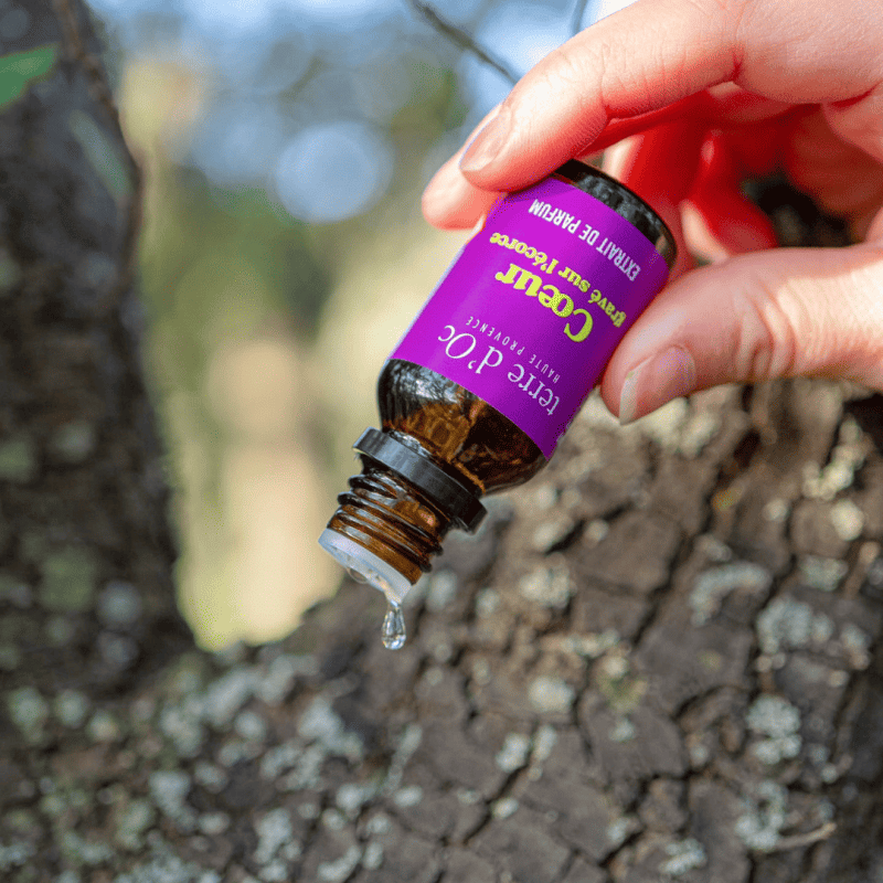 Flacon concentré parfum brûle-parfum Cœur gravé sur l'écorce