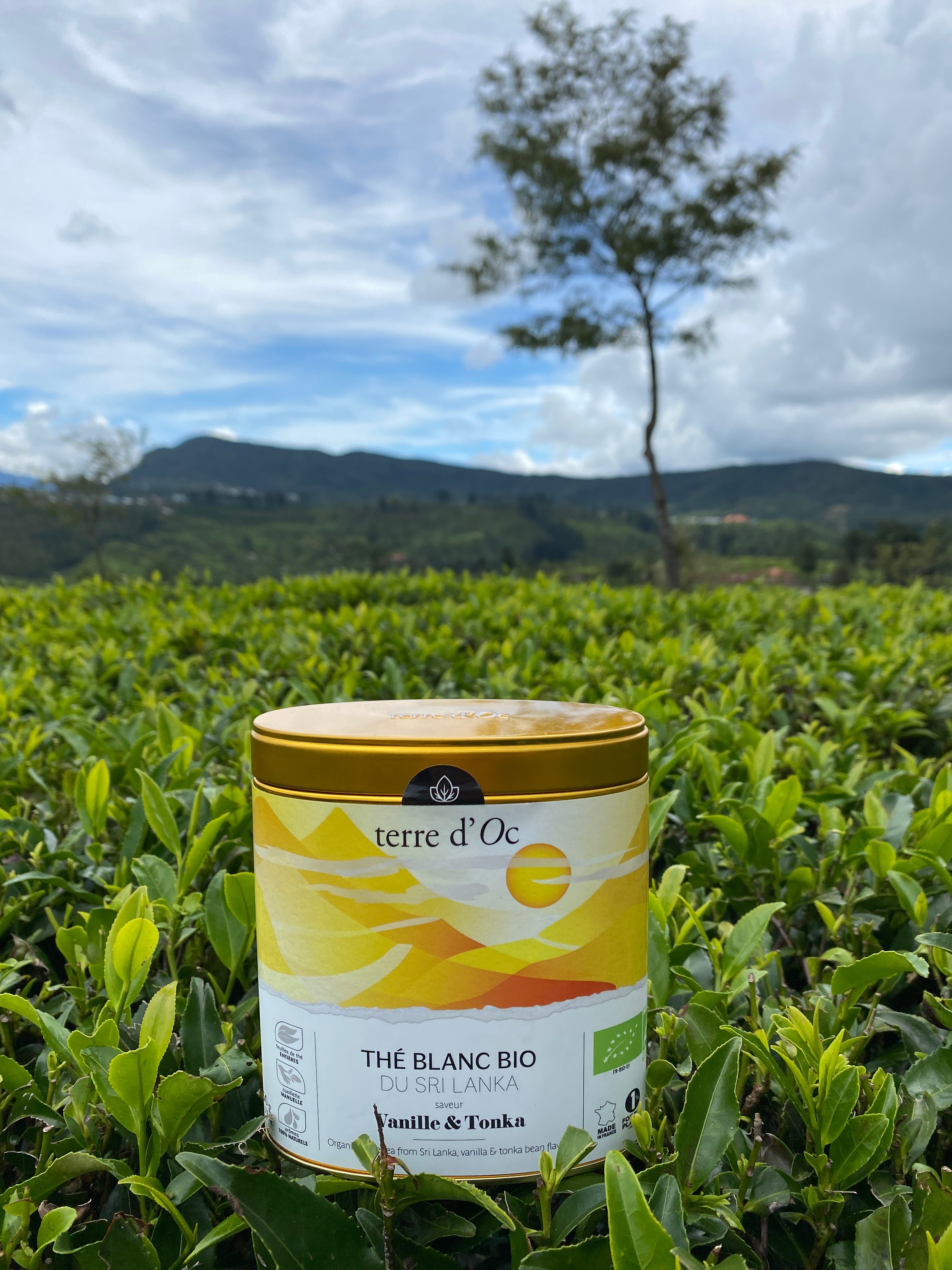 thé blanc