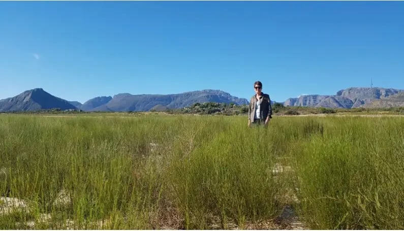 Fair For Life supply chain for organic rooibos from South Africa
