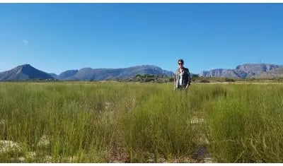 Fair For Life supply chain for organic rooibos from South Africa