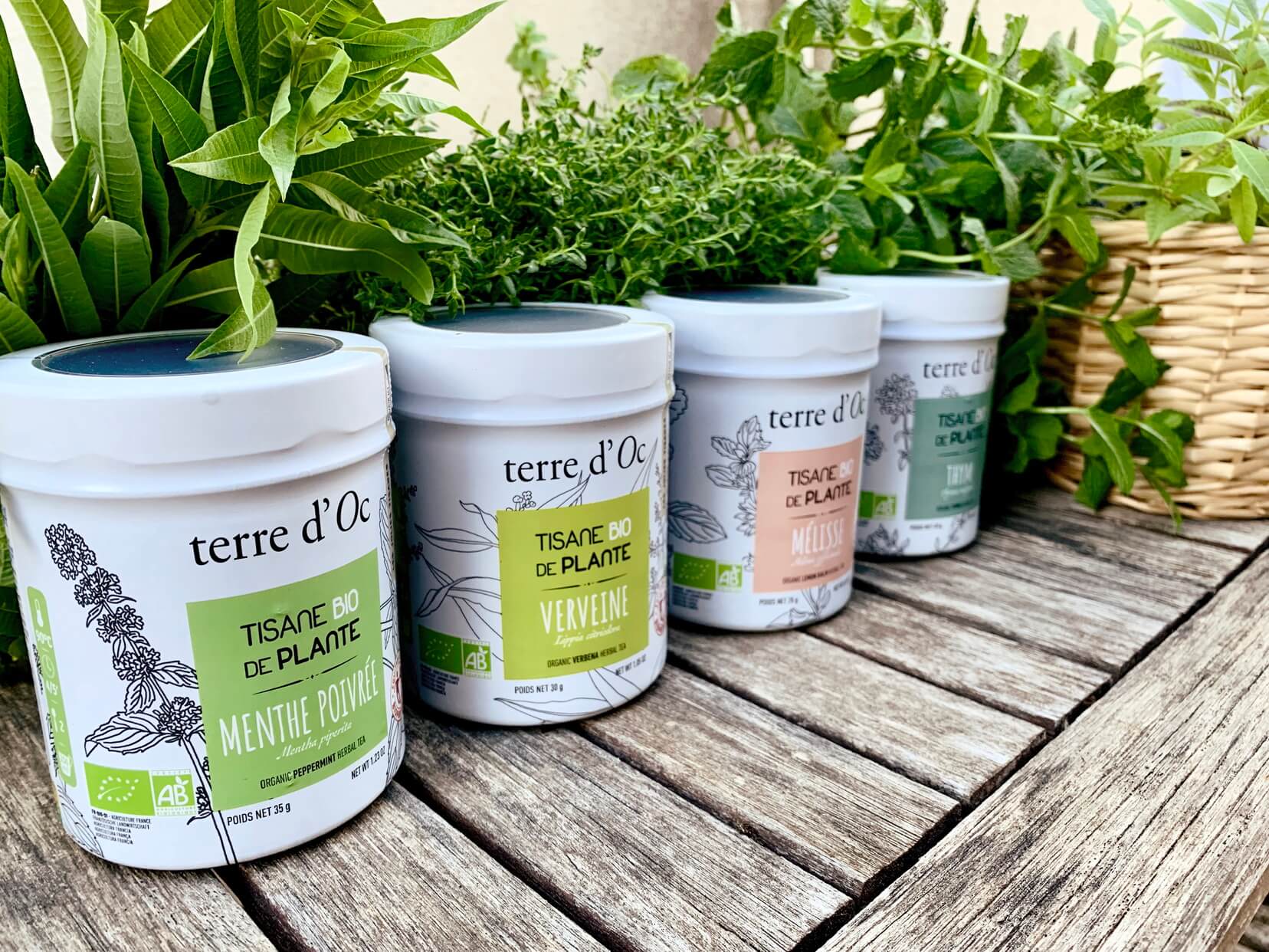 tisane de plantes bio