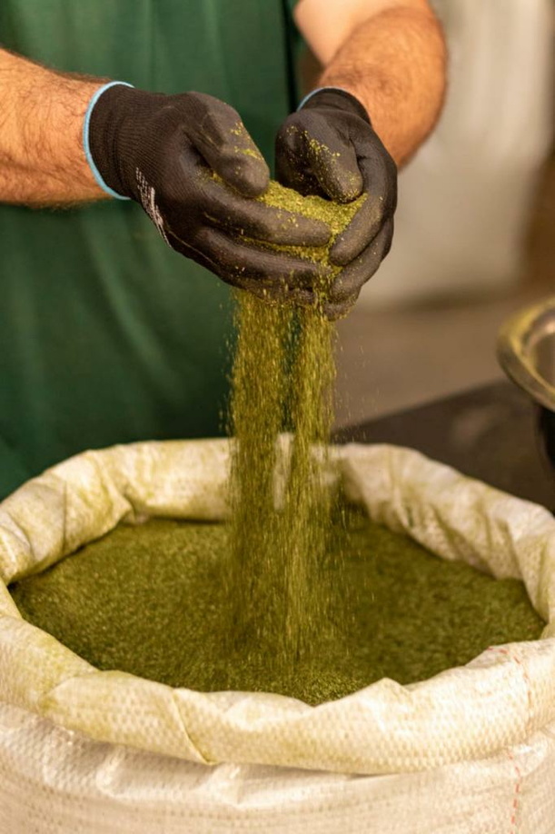 broyage maté bio