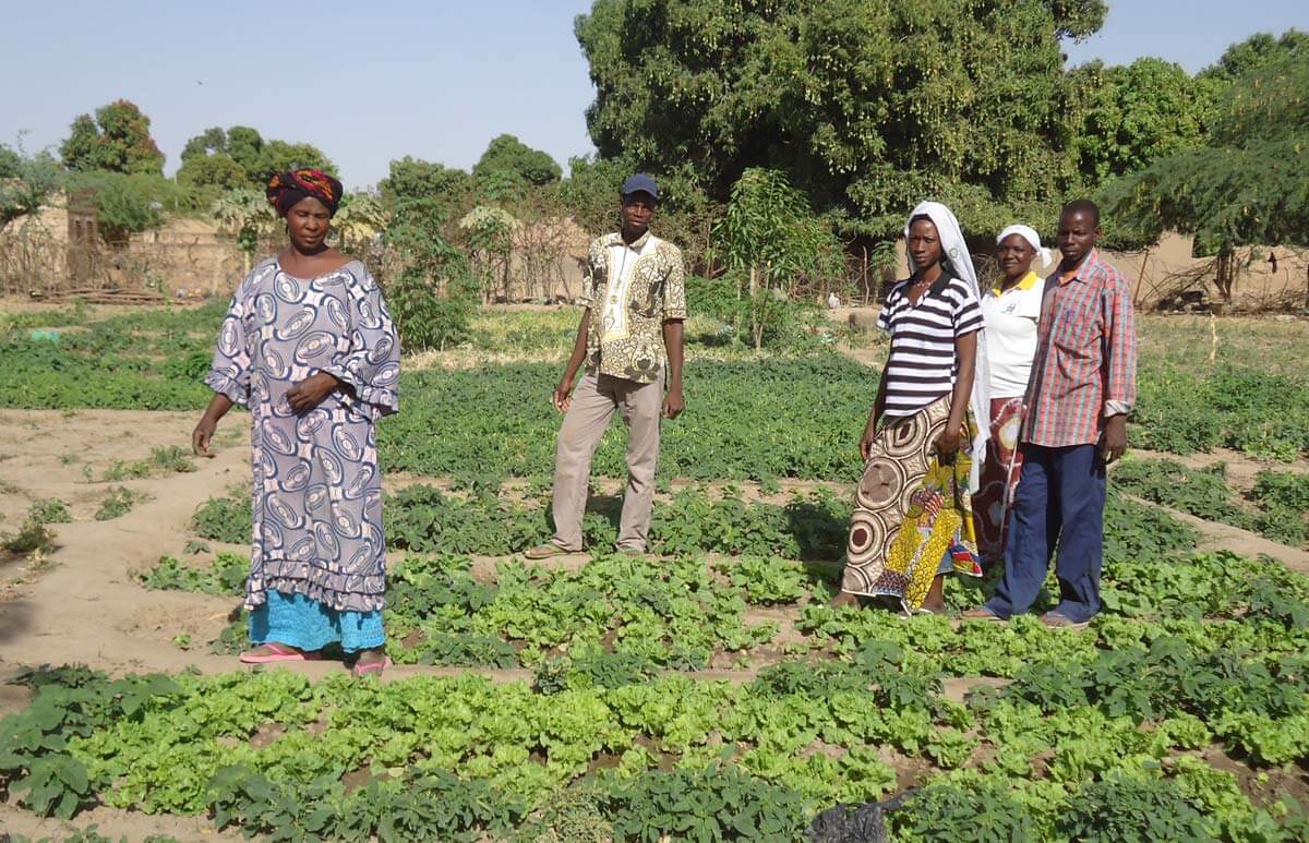 agriculture biologique