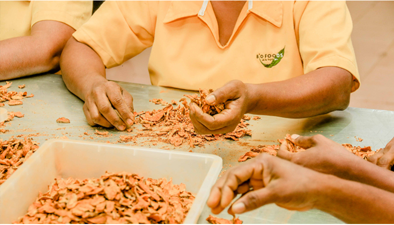 Carnet de voyage : Les usines de fabrication du thé et épices au Sri Lanka
