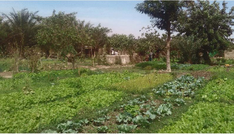 Participez au 1% pour la Planète et le lopin de terre deviendra un jardin extraordinaire