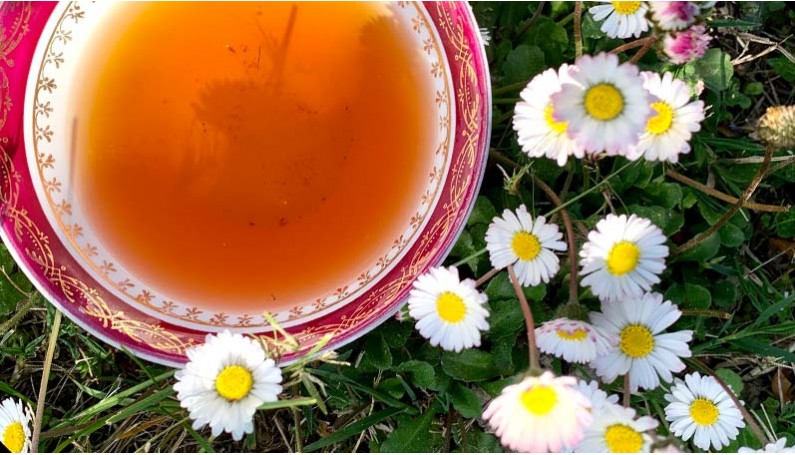 tisane pour maigrir bio : notre sélection d'infusion bio pour maigrir