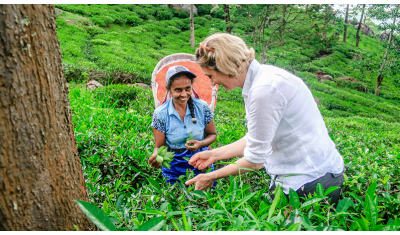 Carnet de voyage : les couleurs et les sourires des magnifiques femmes du Sri Lanka