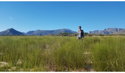 Filière Fair For Life pour le rooibos bio d’Afrique du Sud