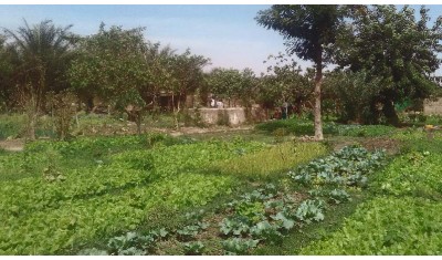 Participez au 1% pour la Planète et le lopin de terre deviendra un jardin extraordinaire