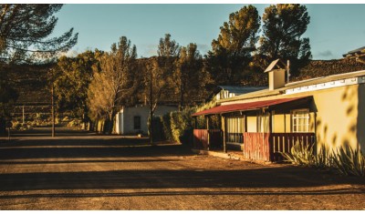 Le rooibos, des générations de Khoi et San