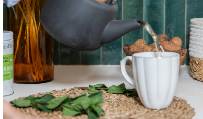 Thé vert à la menthe vs infusion de menthe : quelles différences ?